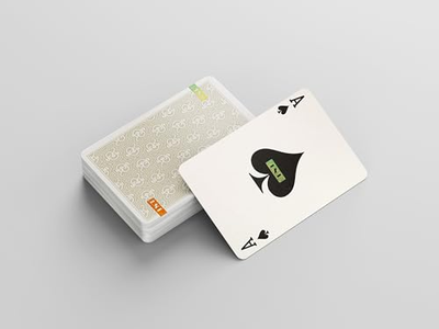 1st V5 Holographic Playing Cards