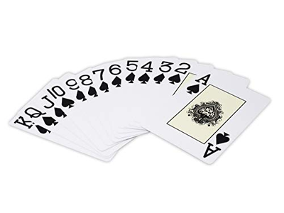 2 Decks of Waterproof Plastic Playing Cards