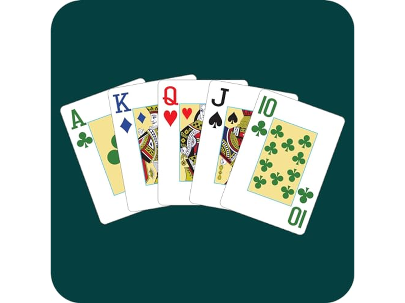 2 Decks Waterproof Plastic Playing Cards