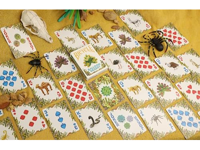 Balloon Ocean and Desert Bicycle Playing Cards