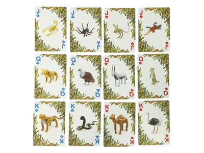 Balloon Ocean and Desert Bicycle Playing Cards