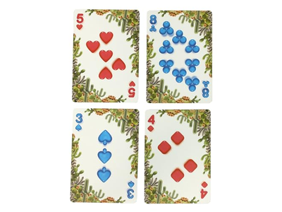 Balloon Ocean and Desert Bicycle Playing Cards