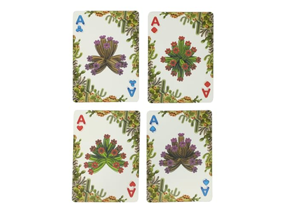Balloon Ocean and Desert Bicycle Playing Cards