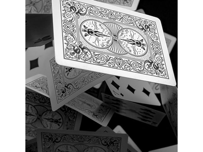 Bicycle Skull Deck Playing Cards with 4 Bonus Magic Cards