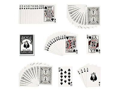 Bicycle Skull Deck Playing Cards with 4 Bonus Magic Cards