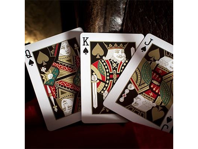 Bicycle Warrior Horse Deck