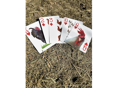 Crazy Chicken Lady Playing Cards