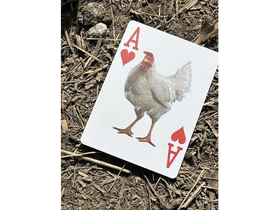 Crazy Chicken Lady Playing Cards