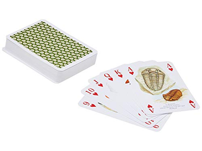 Fossils Set of 52 Playing Cards