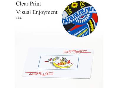 Plastic Playing Cards Waterproof Playing Cards 2 Pack