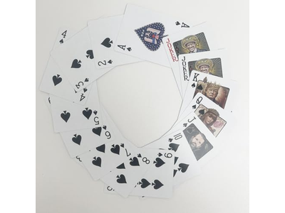 Trump Playing Cards Premium Family Poker Set